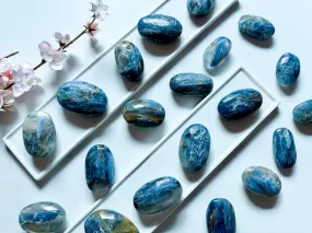 Blue Kyanite Palm Stone || Brazil